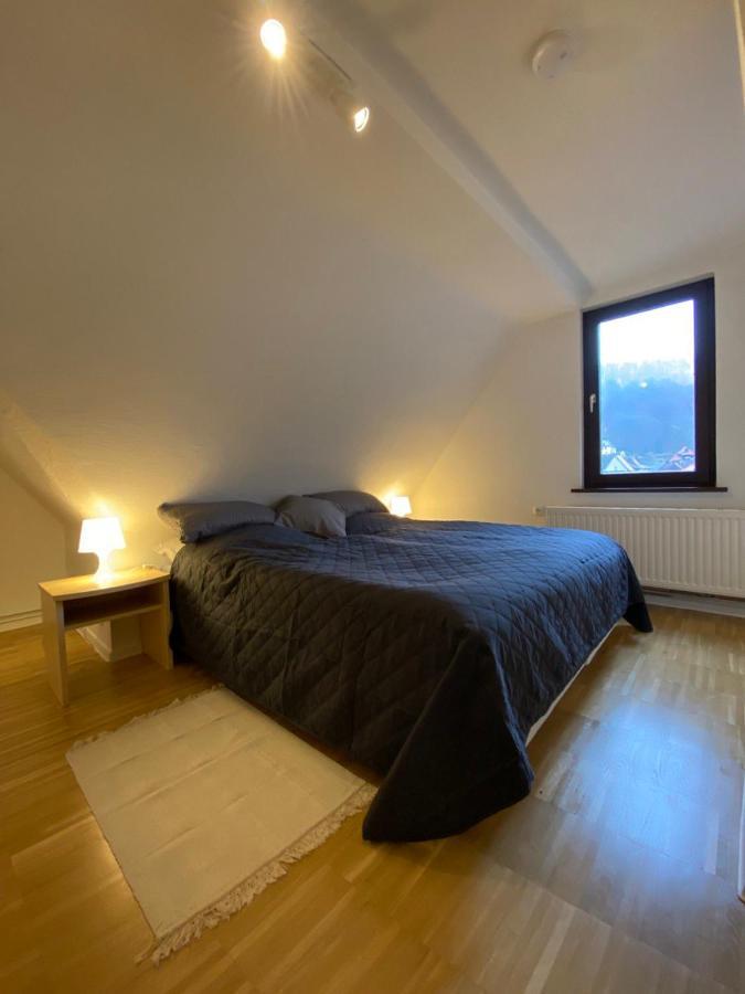 Ferienhaus Art Apartment - Harz Zorge Exterior foto