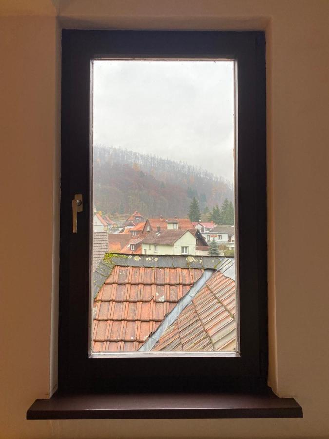 Ferienhaus Art Apartment - Harz Zorge Exterior foto